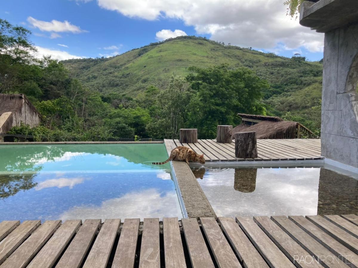 Descubra o Paraíso no Sítio de Seus Sonhos em Papucaia, Cachoeiras de Macacu - RJ!