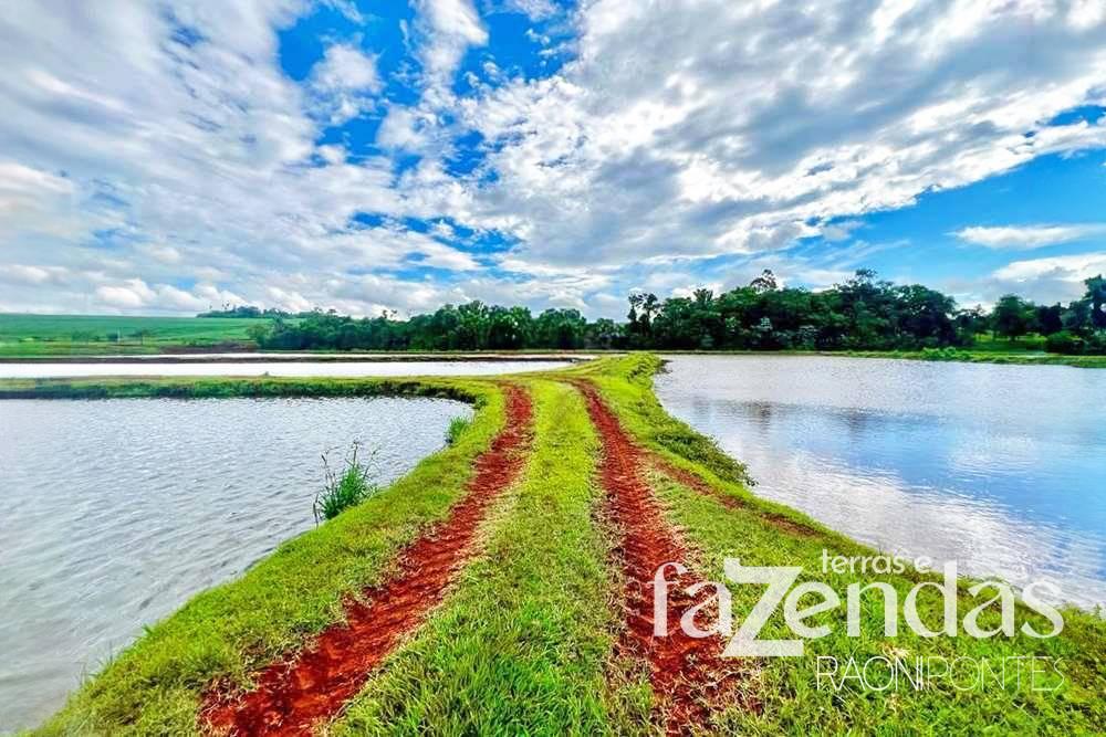 Explore o Paraíso da Aquicultura: Fazenda de Peixes em Toledo, PR