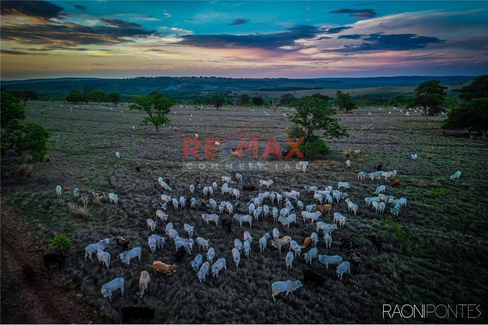 Fazenda à Venda em Figueirão, MS - 4.535 hectares - Oportunidade de Investimento em Pecuária de Corte
