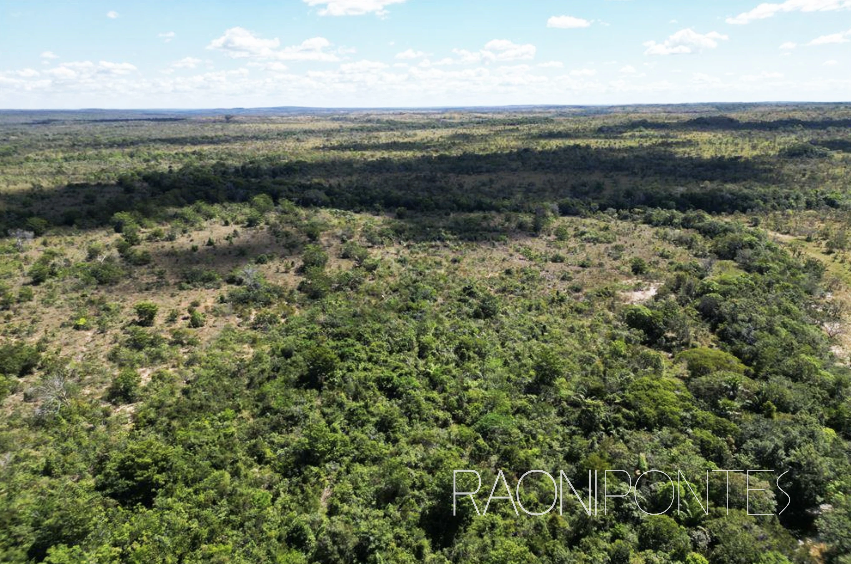 FAZENDA A VENDA NO TOCANTINS- MUNICíPIO DE GOIATINS - 852,83 HECTARES
