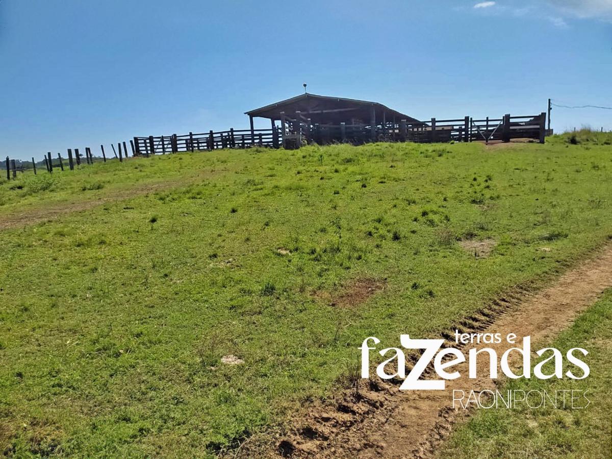 TERRA PARA PECUÁRIA TRATORAVEL - 662 alqueires: Criação e Abate de Bovinos e Suínos com Infraestrutura