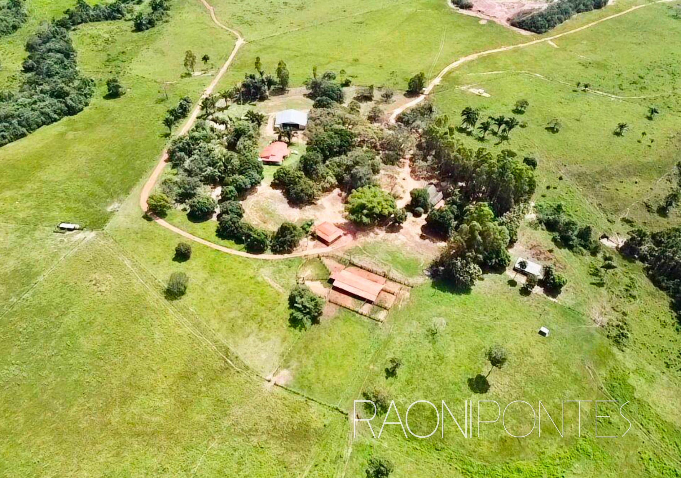FAZENDA CAMPOS LINDOS/TO - 1.803,51 HECTARES - AGRÍCOLA E PECUÁRIA