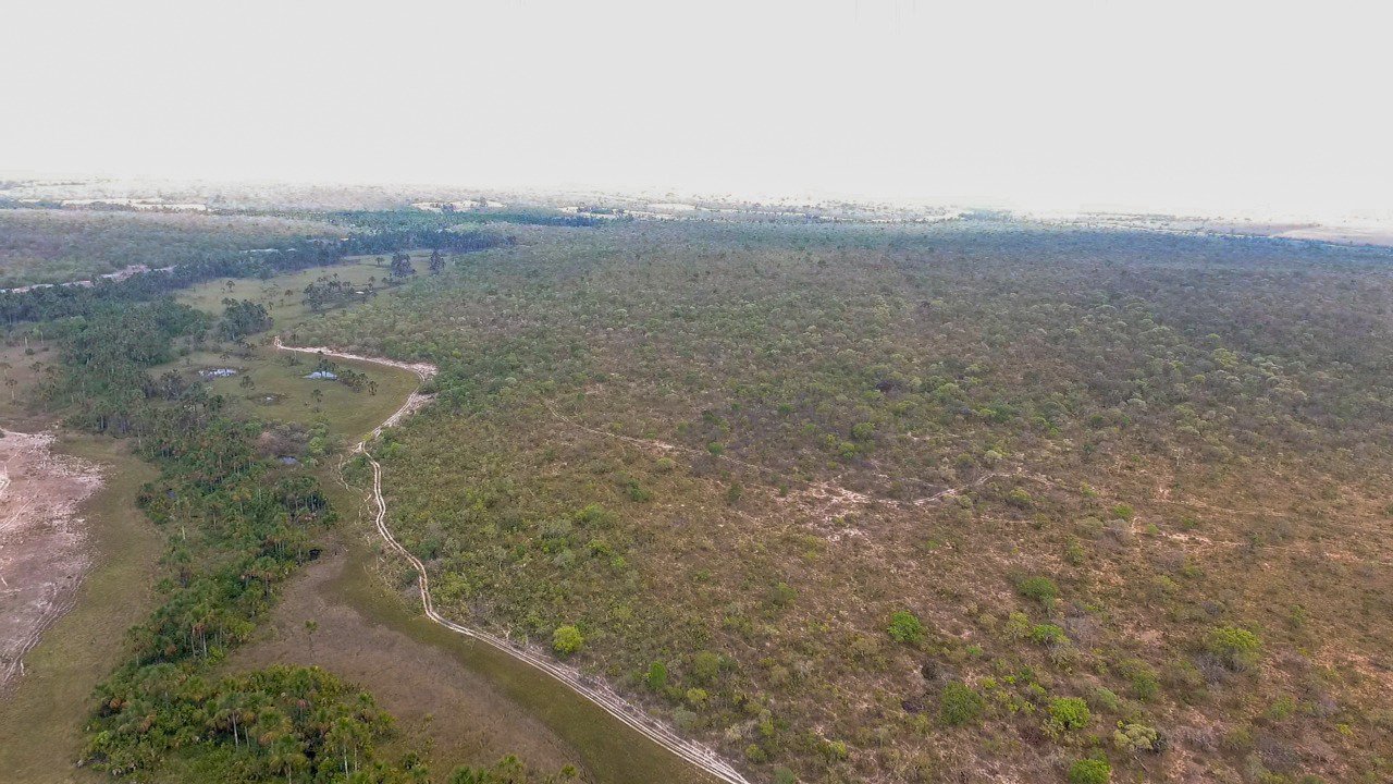 Fazenda cercada pelo rio e plana à venda em Alvorada do Norte-GO