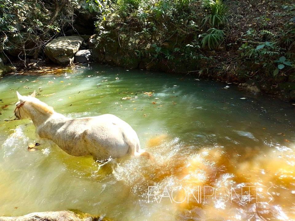 Venda Fazenda Encantadora em Sodrelândia - Descubra a Natureza Exuberante