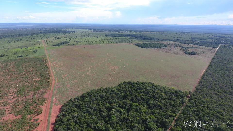 Descubra o Potencial Infinito: Fazenda Excepcional para Dupla Aptidão em Peixe, TO! - VENDA