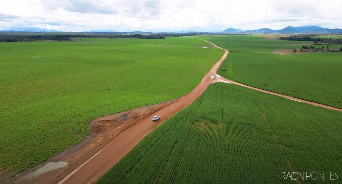 Fazenda de 5.800 Hectares na Região do Bonfim - Potencial agrícola e pecuário em um cenário deslumbrante
