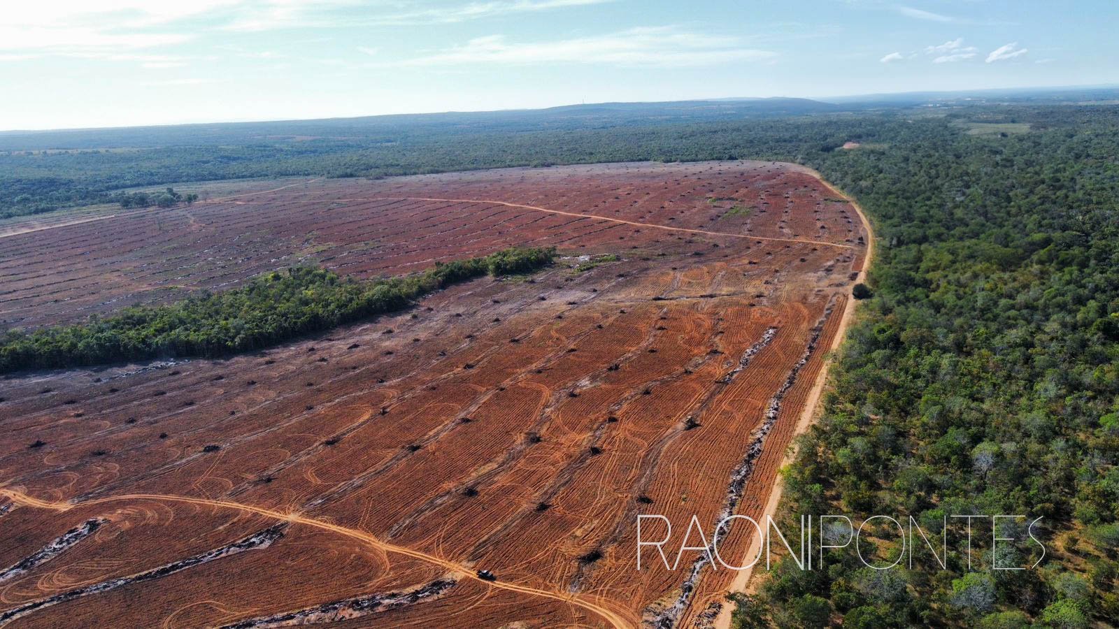 FAZENDA EM SÃO VALÉRIO-TOCANTINS: Oportunidade de investimento imperdível!
