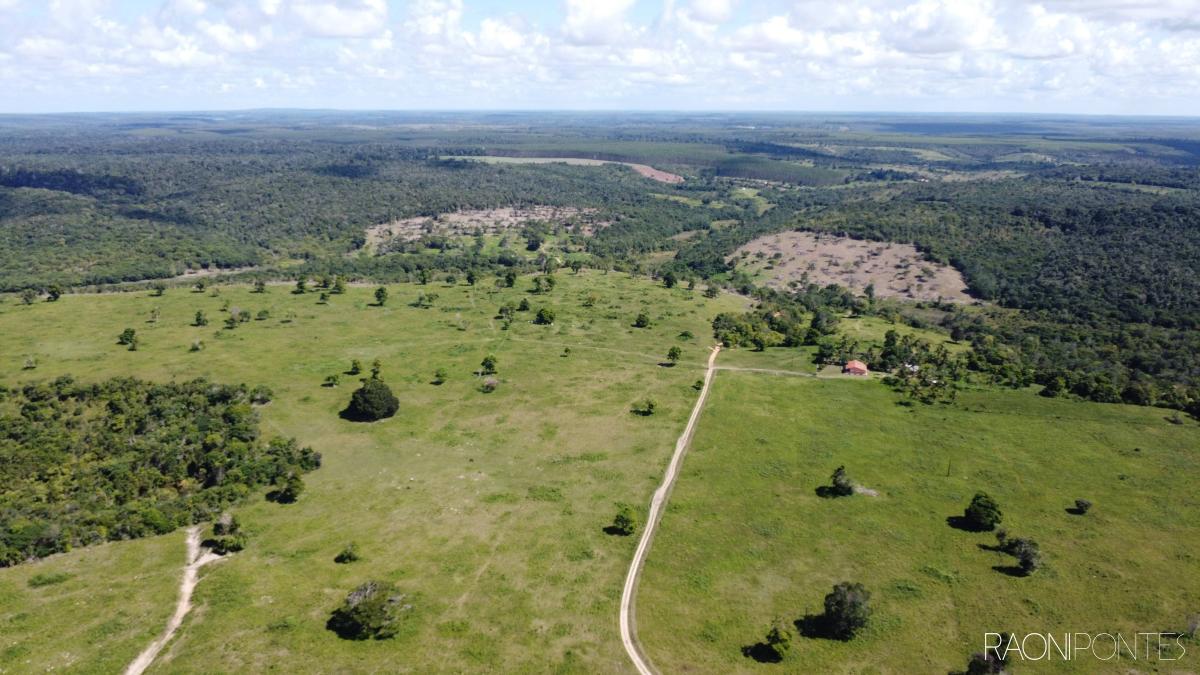 FAZENDA POTENCIAL PARA PECUÁRIA, FRUTICULTURA, EUCALIPTO -  Cardeal da Silva - Bahia