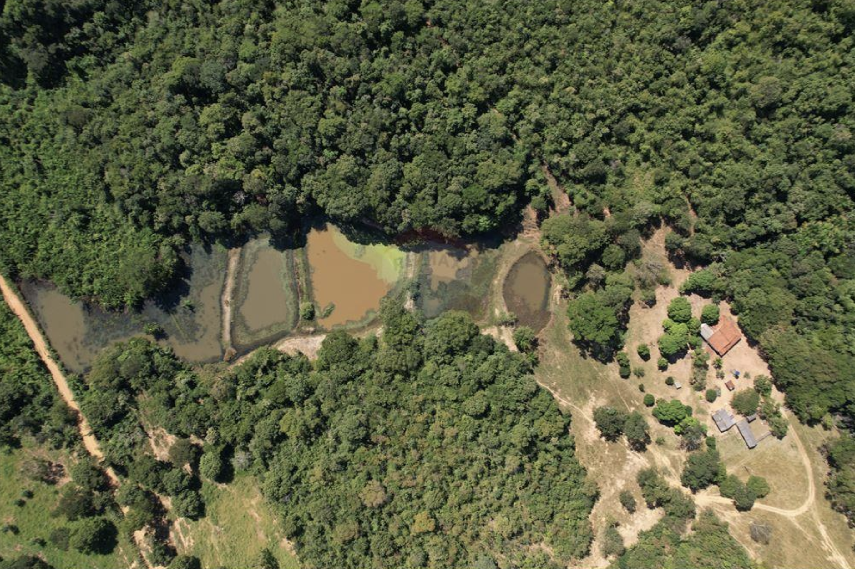 Fazenda - Venda - Acorizal , Mato Grosso - 8,2 Hectares - acesso privilegiado pela Rodovia MT-010