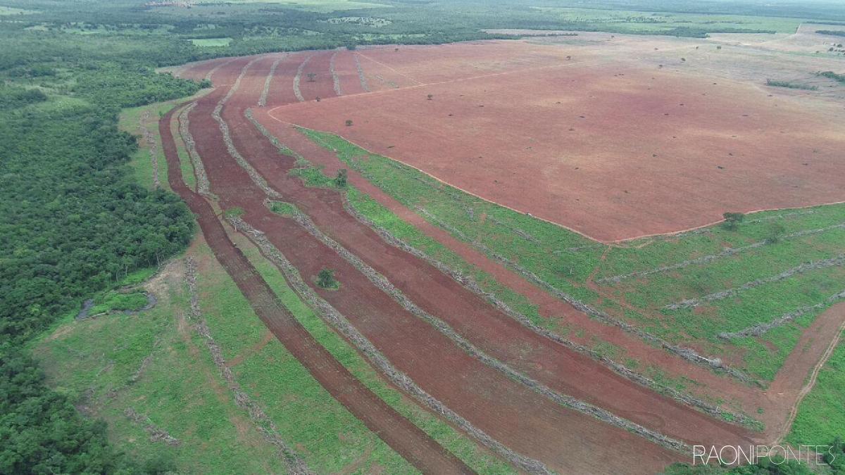 INVESTIMENTO EM FAZENDA PRODUTIVA EM SÃO VALÉRIO-TOCANTINS - VENDA