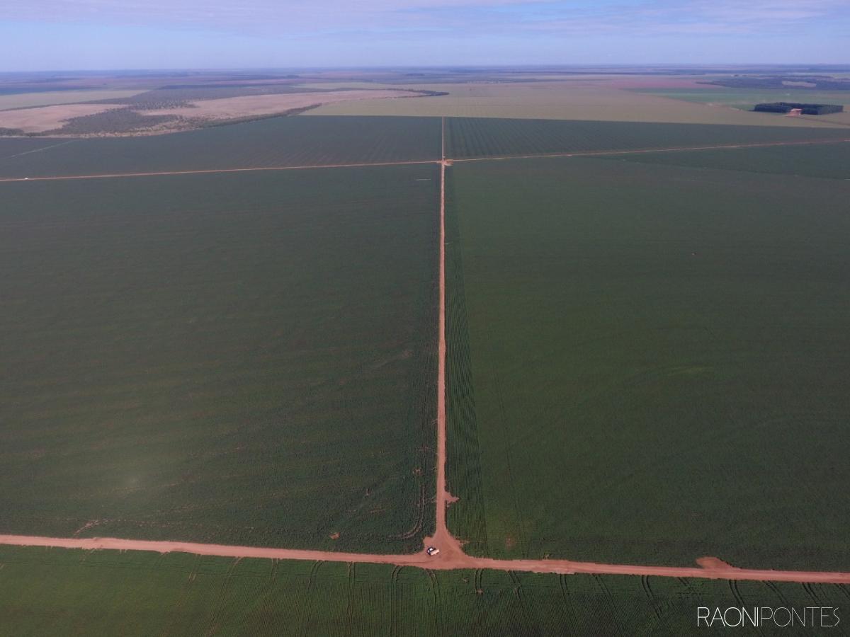 INVISTA NA EXCELÊNCIA RURAL! FAZENDA EXCLUSIVA À VENDA NO MATO GROSSO