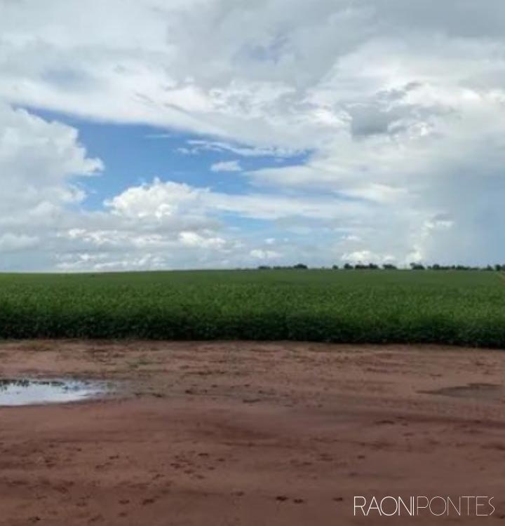 OPORTUNIDADE DE INVESTIMENTO: FAZENDA EXCLUSIVA EM GUARACI - PR - 84 alqueires prontos