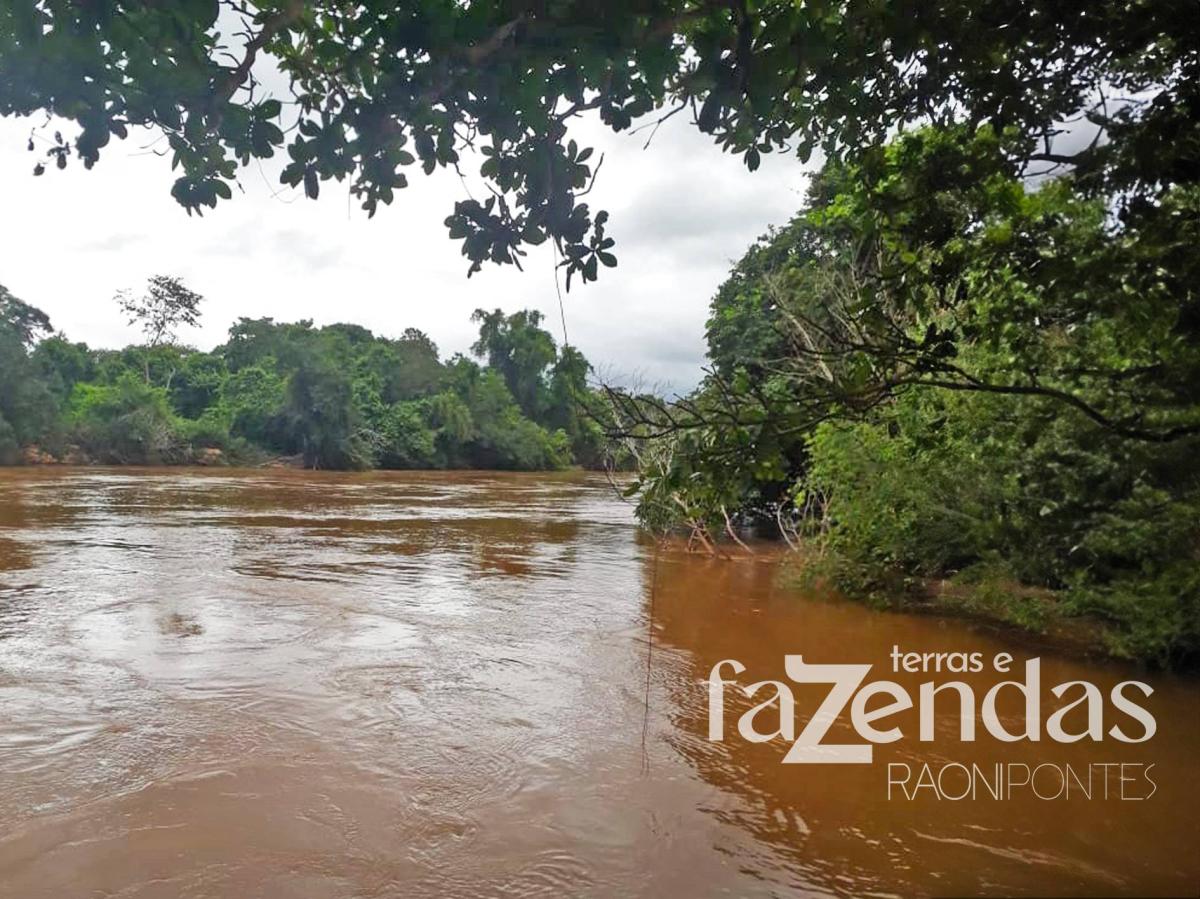 Oportunidade Fazenda Bruta com 1.731 alqueires - Conceição dos Tocantins - 8.382 hectares