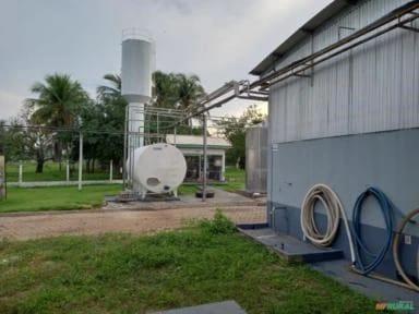 Oportunidade! Laticínio Completo à Venda em Teixeirópolis, Rondônia!