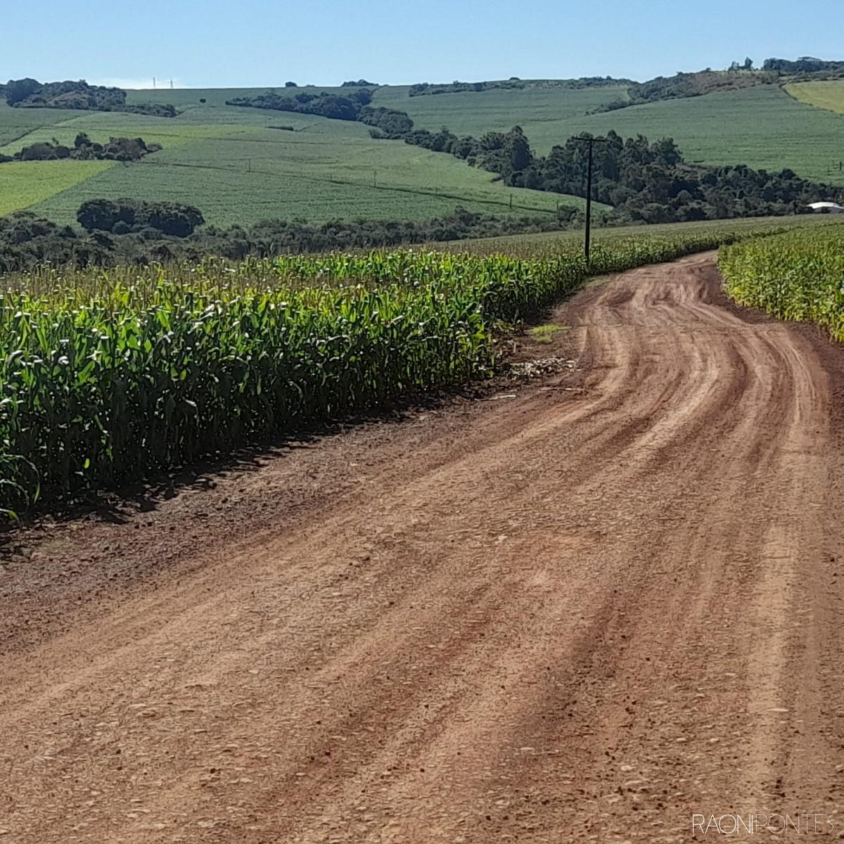Oportunidade para Investidores do agronegócio! Fazenda de 58.5 Alqueires em Água das Abóboras, Ibiporã - PR
